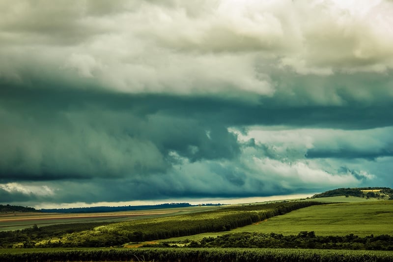 Temporal Pathfinders